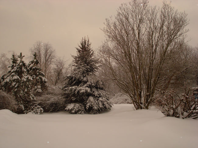 january-winter-2009-blog